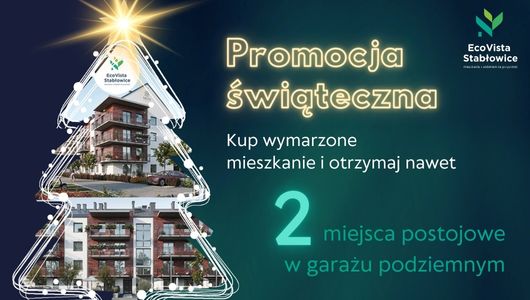 promo_swiateczna_EcoVista